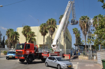  بالفيديو: طواقم البلدية تُحاول على مدار 4 أيام انقاذ قطة علقت على شجرة في اللد